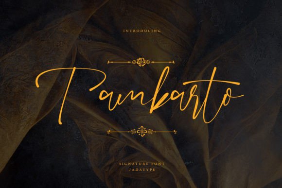Tambarto Font Review: Elegant Script for Brand Identity